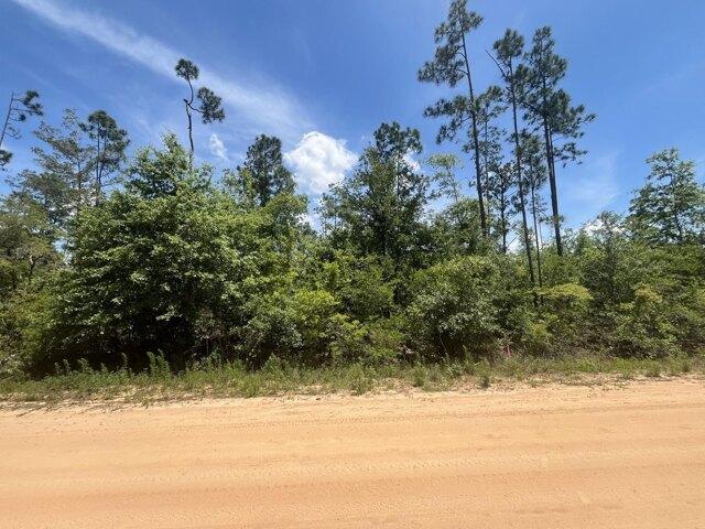 Land for sale in Marianna