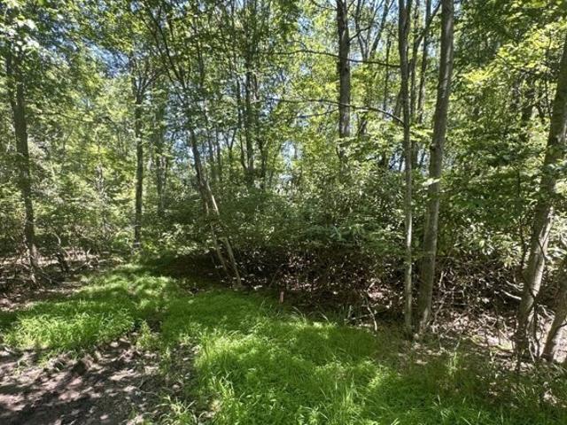 Land for sale in Pocono Summit