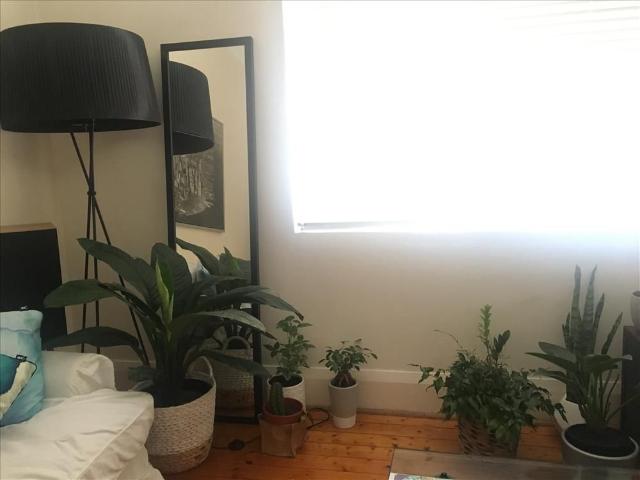 Room for rent in Sydney, New South Wales
