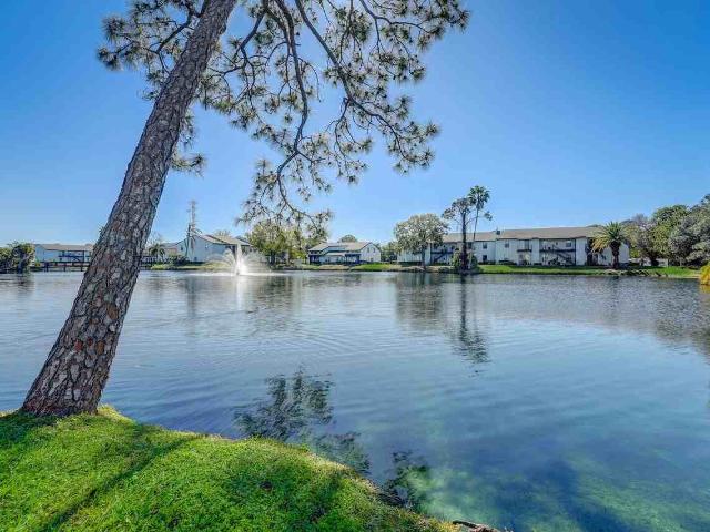 Apartment for rent in Saint Petersburg, Florida