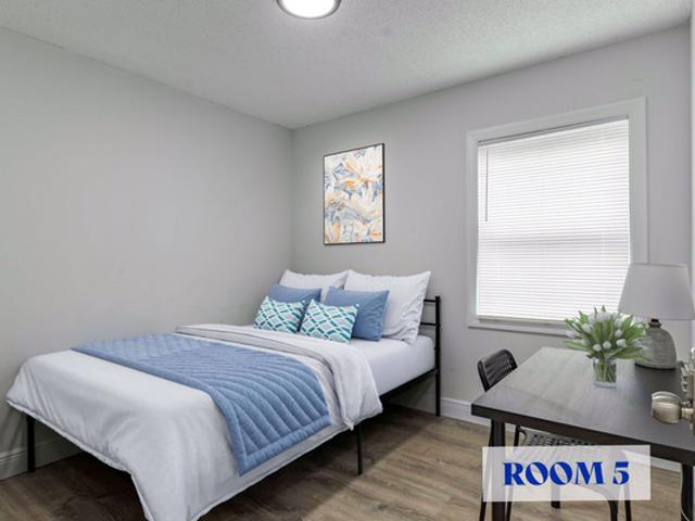 Room for rent in Tampa, Florida