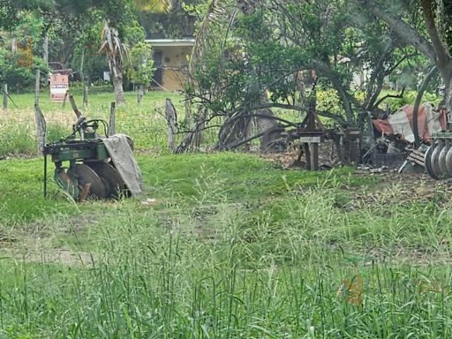 Terreno en venta en La Ensenada, Tampico Alto