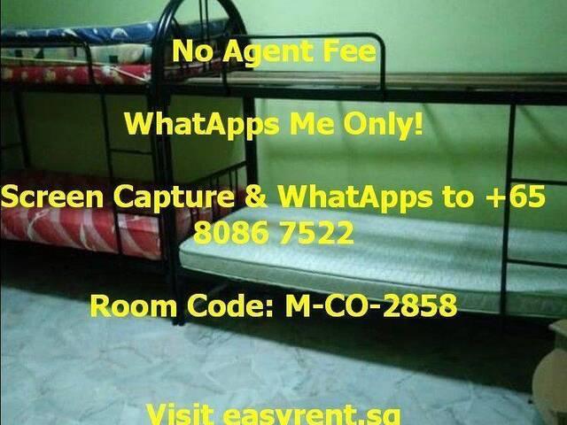Room for rent