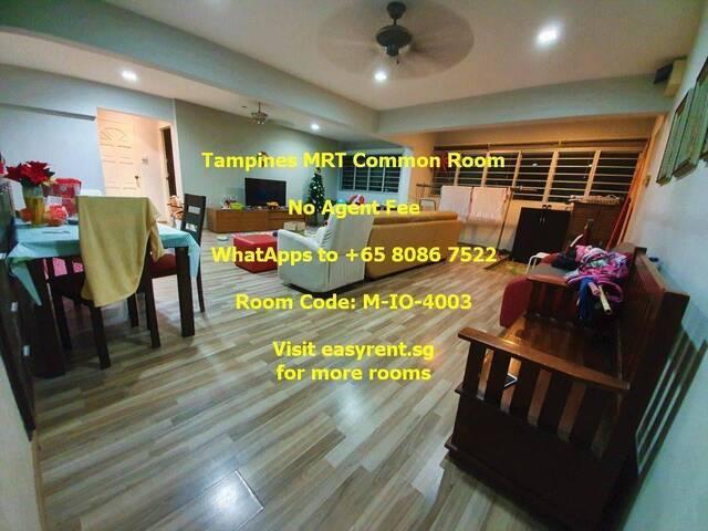 Room for rent