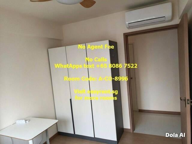 Room for rent