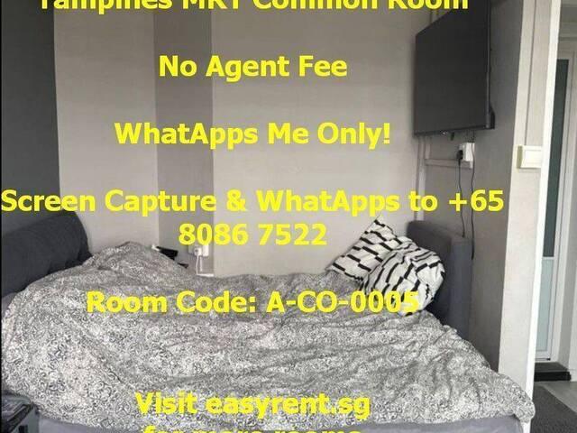 Room for rent