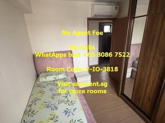 Room for rent