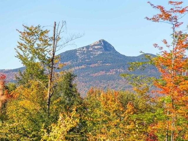 Land for sale in Chocorua, Tamworth