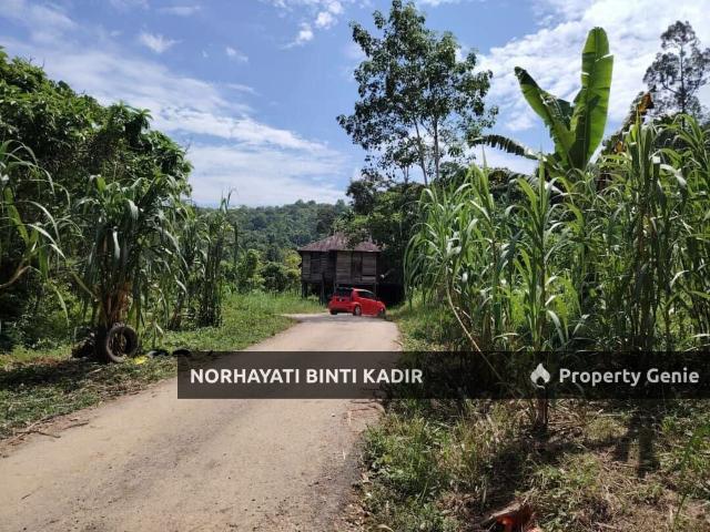Property for sale in Raub, Pahang