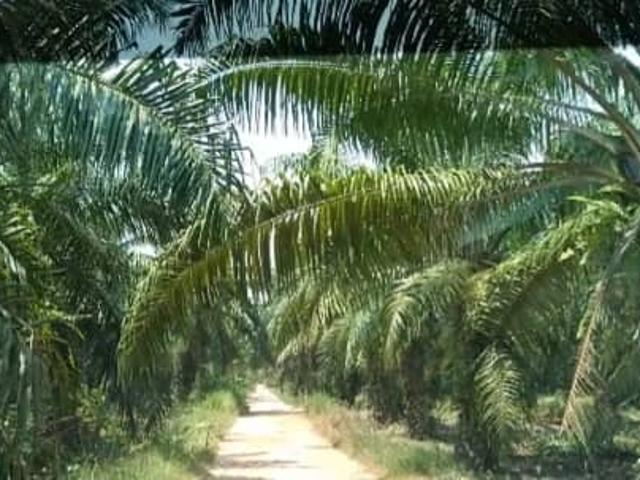 Property for sale in Sungai Besar, Selangor