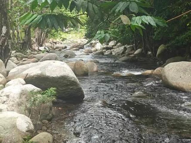 Property for sale in Perak