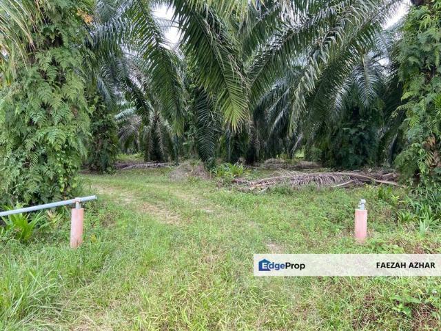 Shop for sale in Mersing, Johor