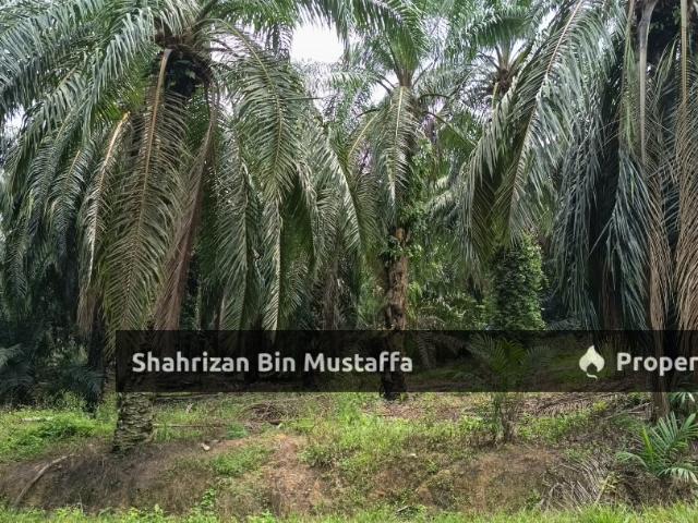 Property for sale in Segamat