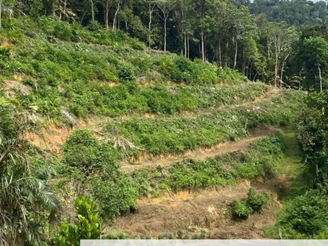 Shop for sale in Perak, Lenggong