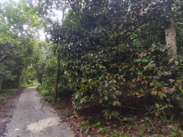 Property for sale in Kuala Kubu Baru, Selangor