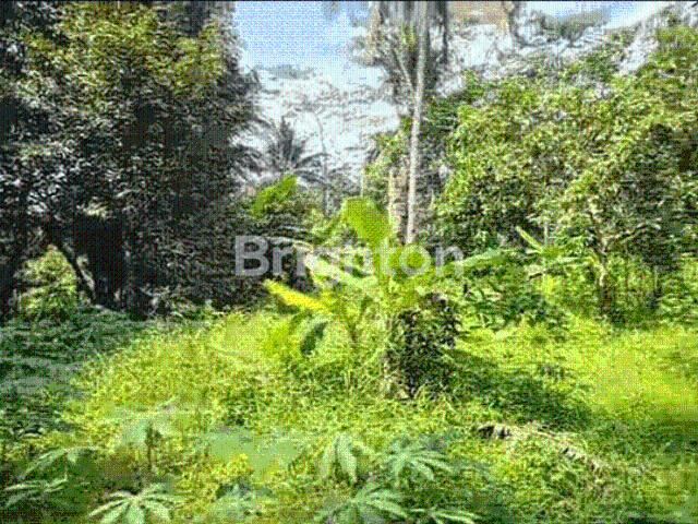 Tanah dijual di Pandeglang