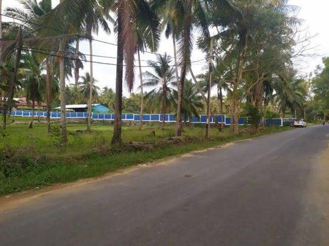 Tanah dijual di Bayah, Lebak