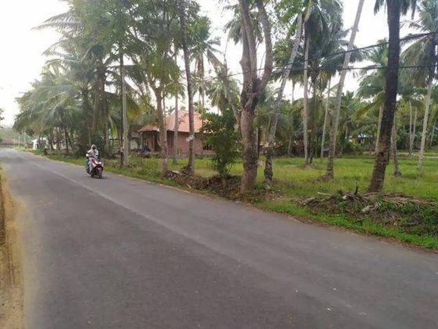 Tanah dijual di Bayah, Lebak