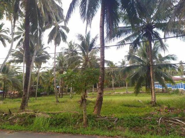 Tanah dijual di Bayah, Lebak