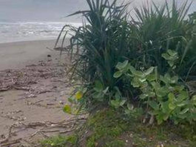 Tanah dijual di Bayah, Lebak