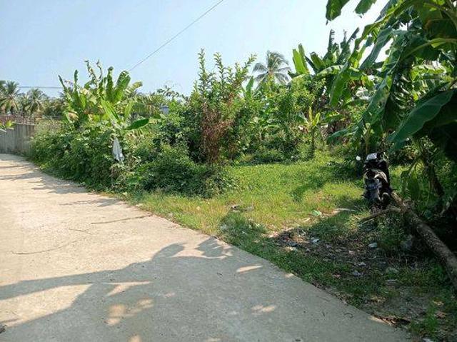 Tanah dijual di Bayah, Lebak
