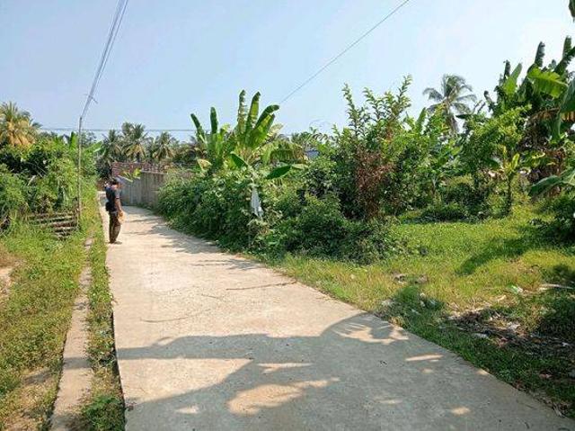 Tanah dijual di Bayah, Lebak