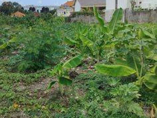Tanah dijual di Canggu, Badung