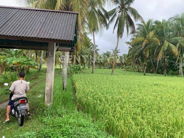 Tanah dijual di Carita, Pandeglang