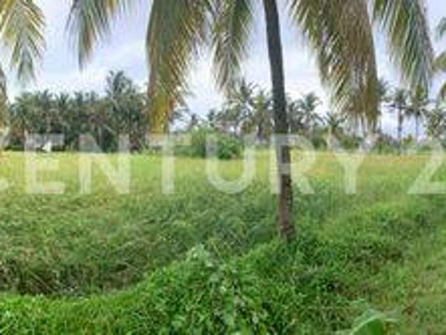 Tanah dijual di Carita, Pandeglang