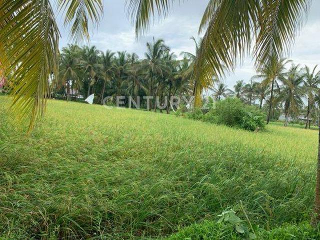 Tanah dijual di Carita, Pandeglang