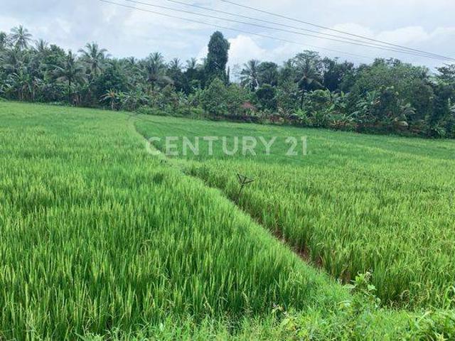 Tanah dijual di Carita, Pandeglang
