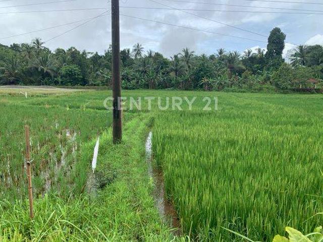 Tanah dijual di Carita, Pandeglang