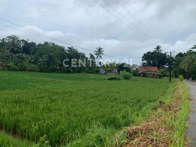Tanah dijual di Carita, Pandeglang