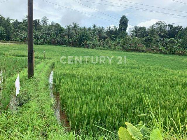 Tanah dijual di Carita, Pandeglang