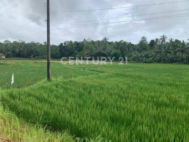Tanah dijual di Carita, Pandeglang
