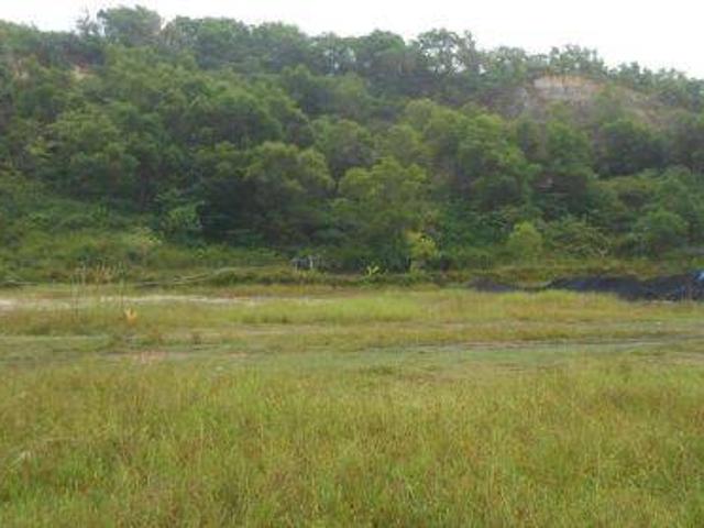 Tanah dijual di Cihara, Lebak