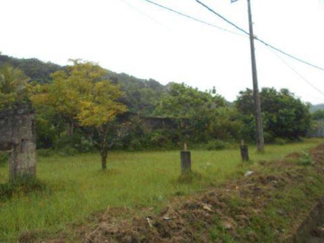 Tanah dijual di Cihara, Lebak