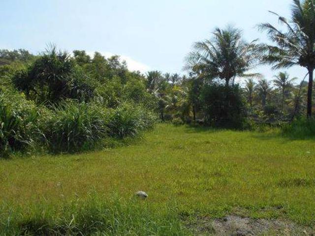 Tanah dijual di Cihara, Lebak