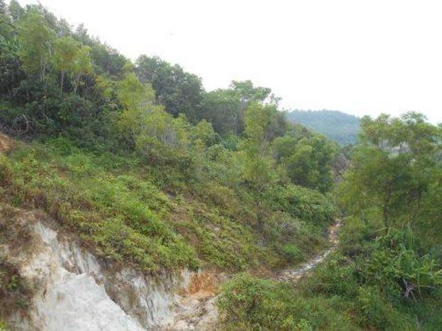 Tanah dijual di Cihara, Lebak
