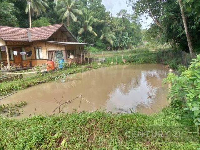 Tanah dijual di Cikeusik, Pandeglang