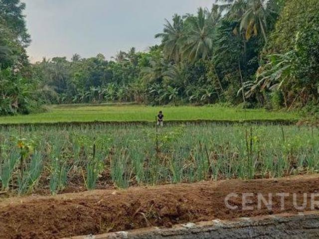 Tanah dijual di Cikeusik, Pandeglang