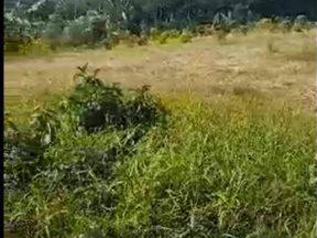Tanah dijual di Cikulur, Lebak