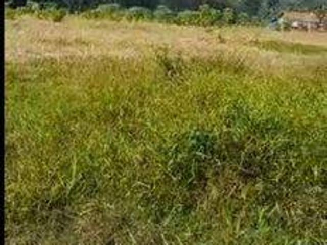 Tanah dijual di Cikulur, Lebak