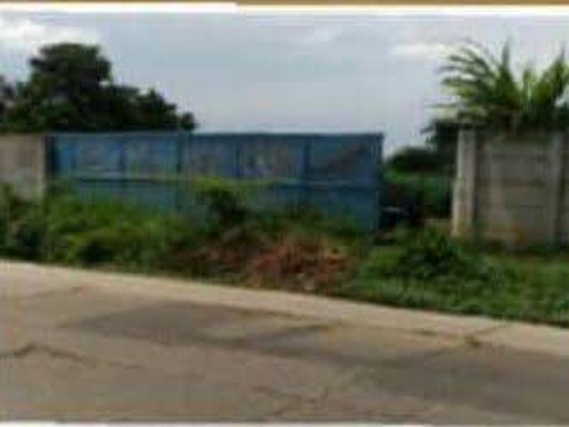 Tanah dijual di Cileles, Lebak