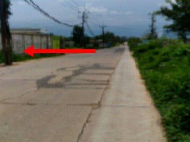 Tanah dijual di Cileles, Lebak