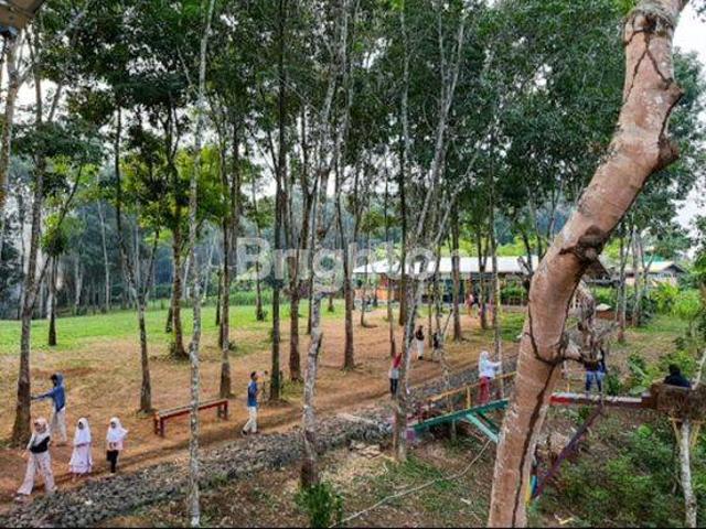 Tanah dijual di Lebak