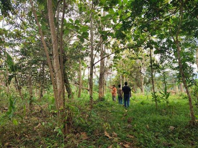 Tanah dijual di Curugbitung, Lebak