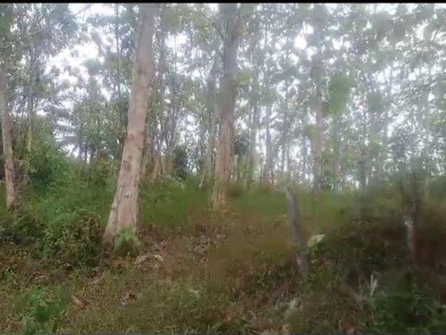 Tanah dijual di Curugbitung, Lebak