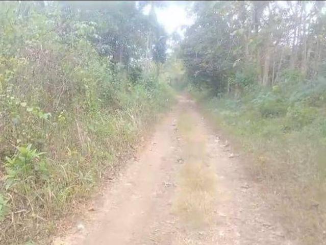 Tanah dijual di Curugbitung, Lebak