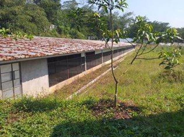 Tanah dijual di Curugbitung, Lebak